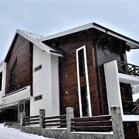 Casa Larisa - Wolves Apartment シナヤ エクステリア 写真