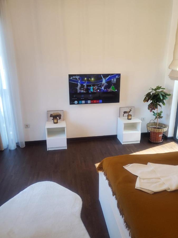 Casa Larisa - Wolves Apartment シナヤ エクステリア 写真