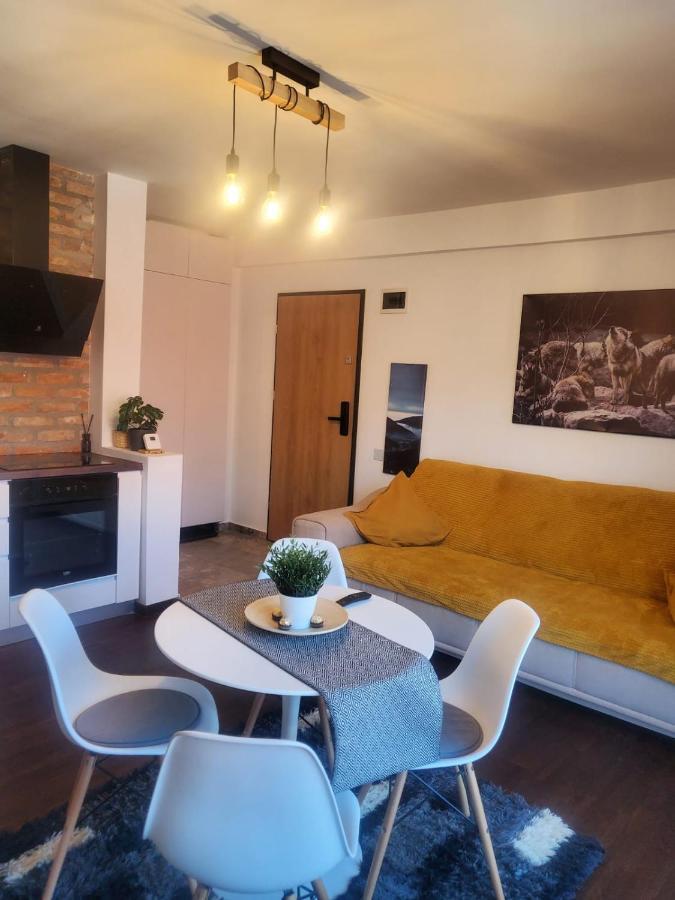 Casa Larisa - Wolves Apartment シナヤ エクステリア 写真