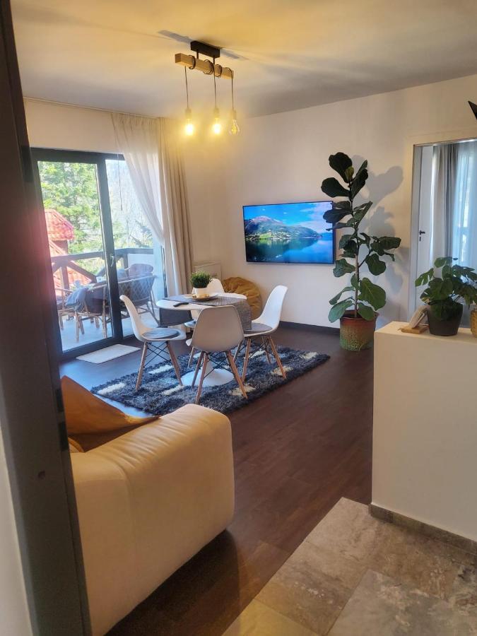 Casa Larisa - Wolves Apartment シナヤ エクステリア 写真
