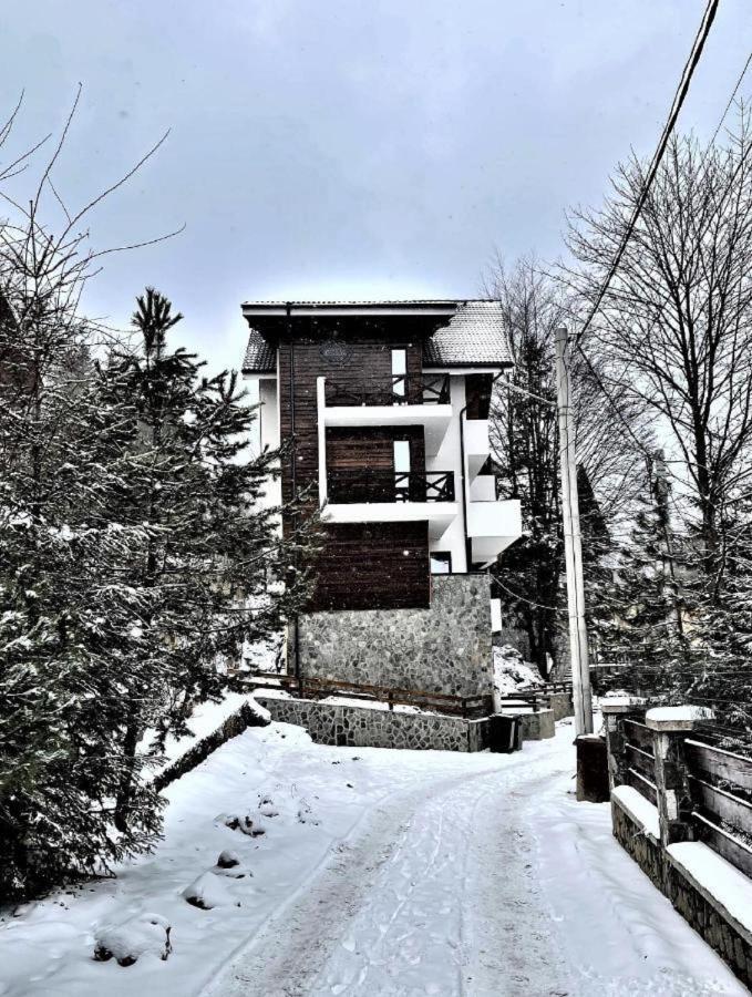 Casa Larisa - Wolves Apartment シナヤ エクステリア 写真