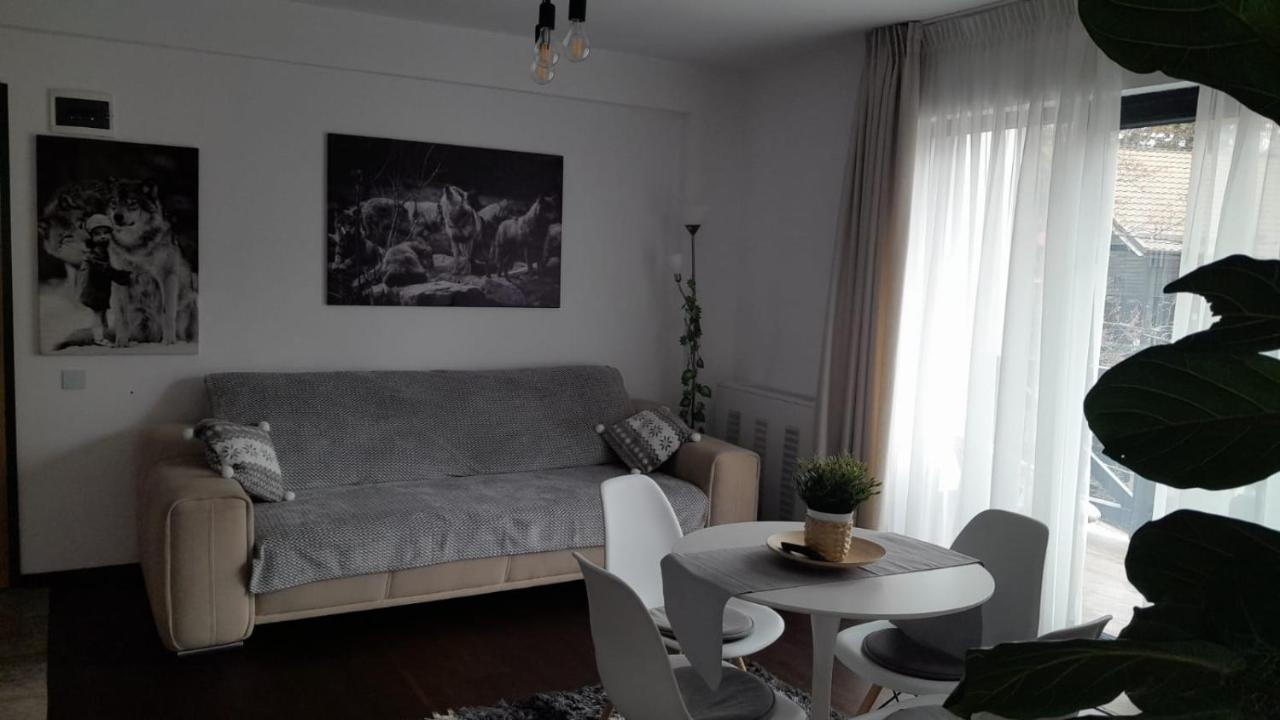Casa Larisa - Wolves Apartment シナヤ エクステリア 写真