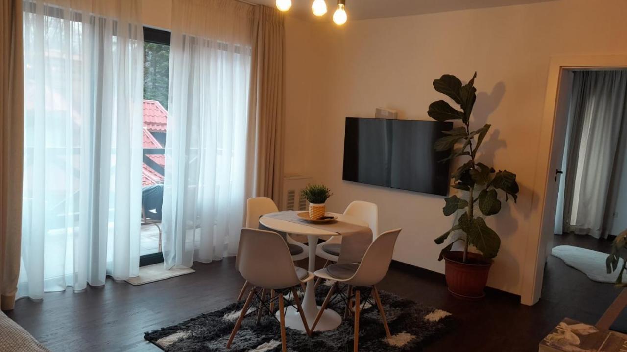 Casa Larisa - Wolves Apartment シナヤ エクステリア 写真